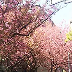 Amstel House Albergue Berlim