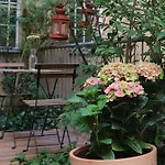 Amstel House Albergue