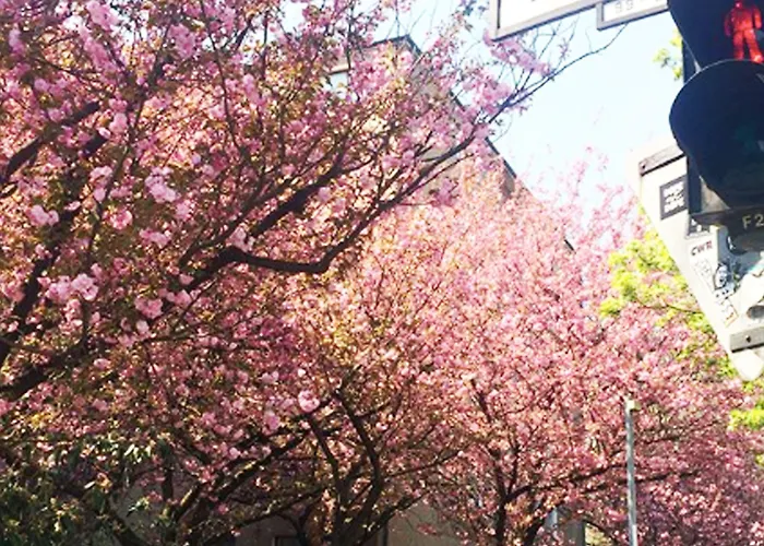 Amstel House Hostal Berlín